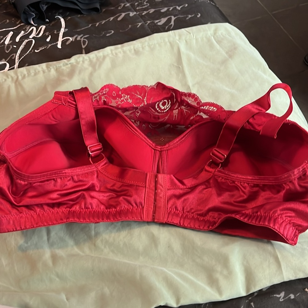 44DDD bra - Picture 2 of 2